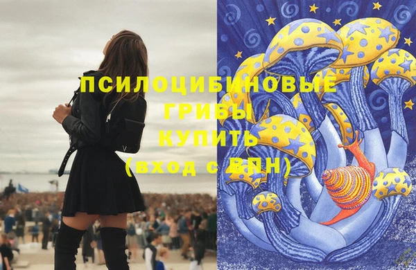 бутик Няндома