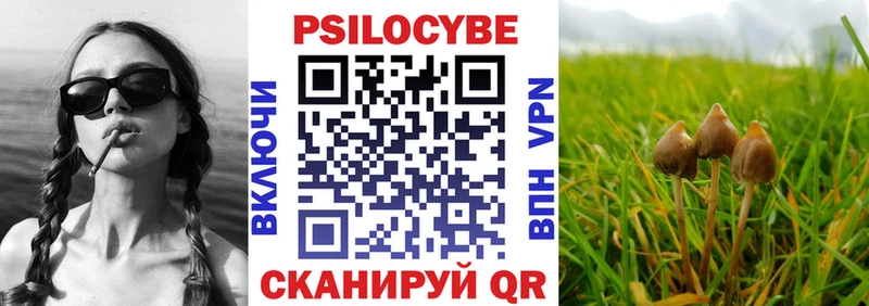 Купить  Темрюк  Галлюциногенные грибы мицелий 